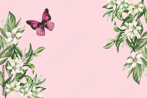 Fototapeta Naklejka Na Ścianę i Meble -  Watercolor floral watercolor illustration with leaves, blossoms and butterfly isolated on blush pink background.