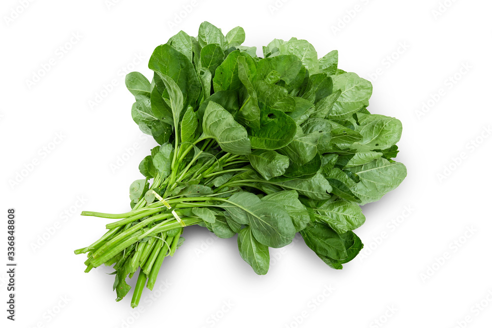 Bunch of spinach leaves on isolated white background Bunch of spinach leaves on isolated white background