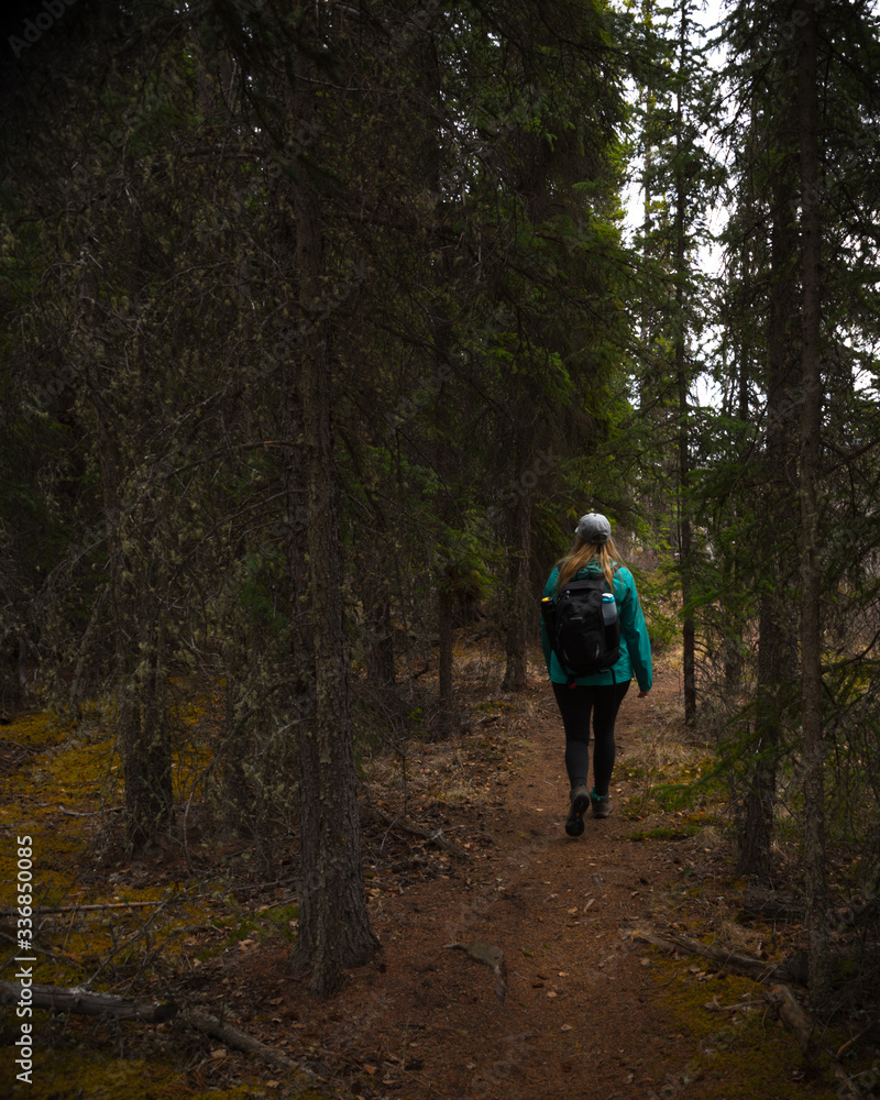 Woman hiking along the side of the Yukon River outside of Whitehorse in Yukon Territory, northern Canada. 