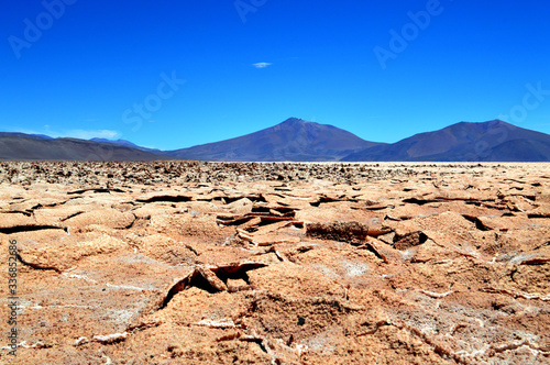 Pocitos salt flat photo