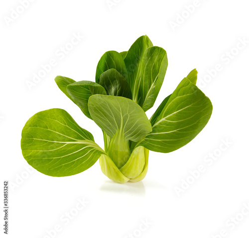 fresh pak choi cabbage isolated on white background