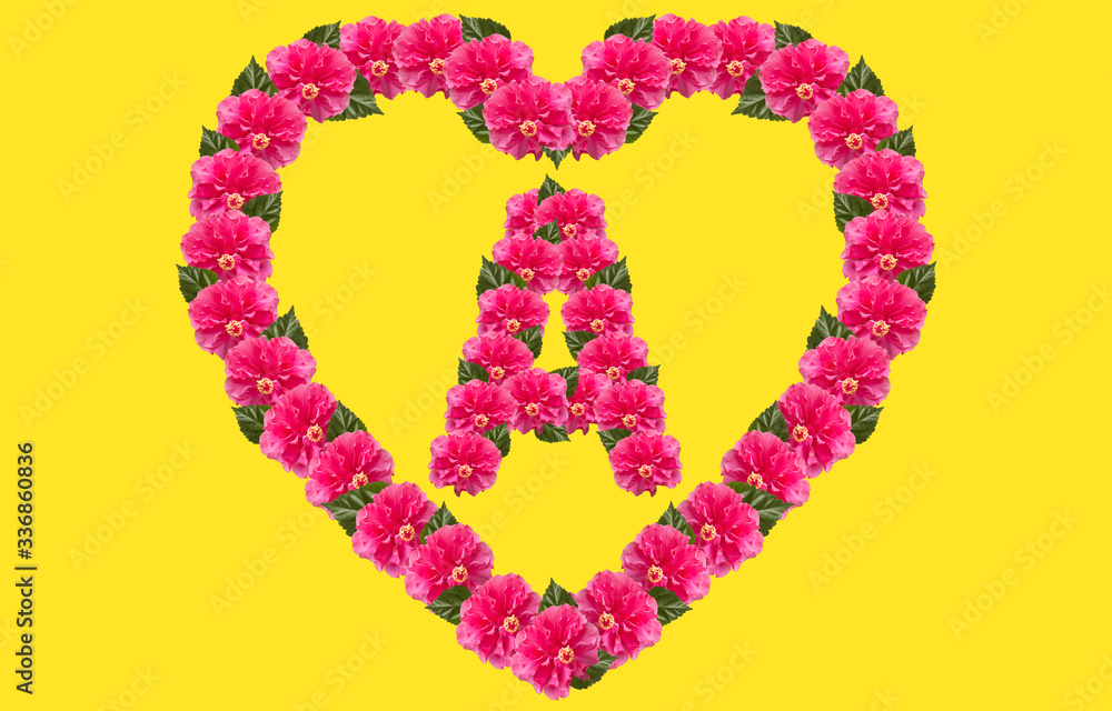 Alphabet A Design using Pink Hibiscus Flower and love shape on isolated Background. China Rose love shape letter.Double headed Pink Hibiscus font