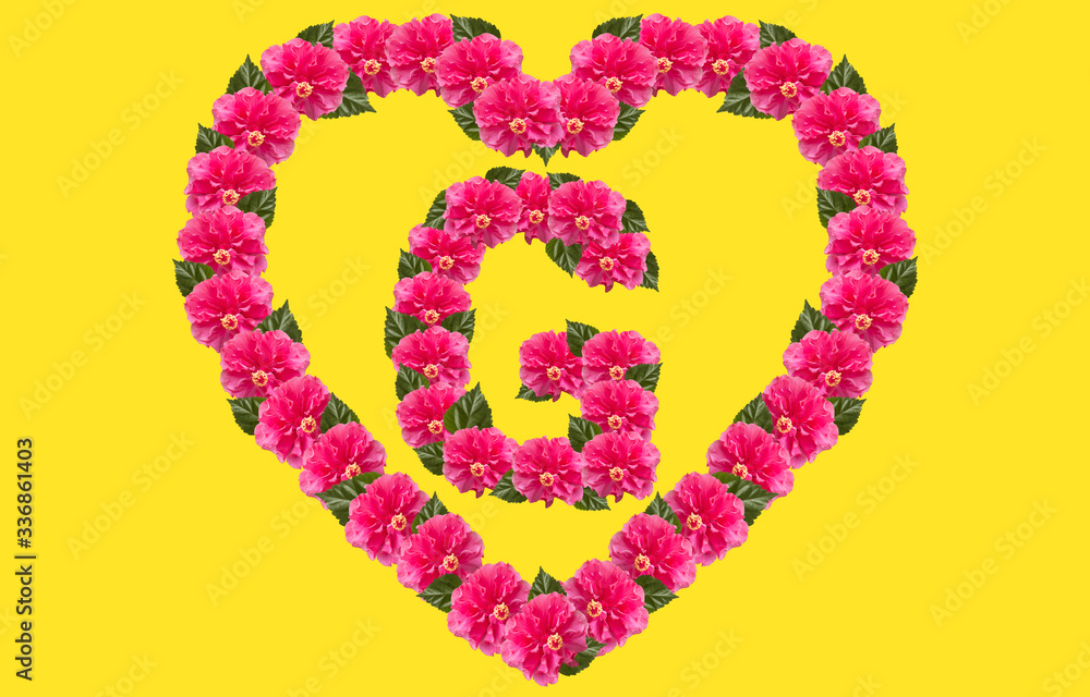 Alphabet G Design using Pink Hibiscus Flower and love shape on isolated Background. China Rose love shape letter.Double headed Pink Hibiscus font