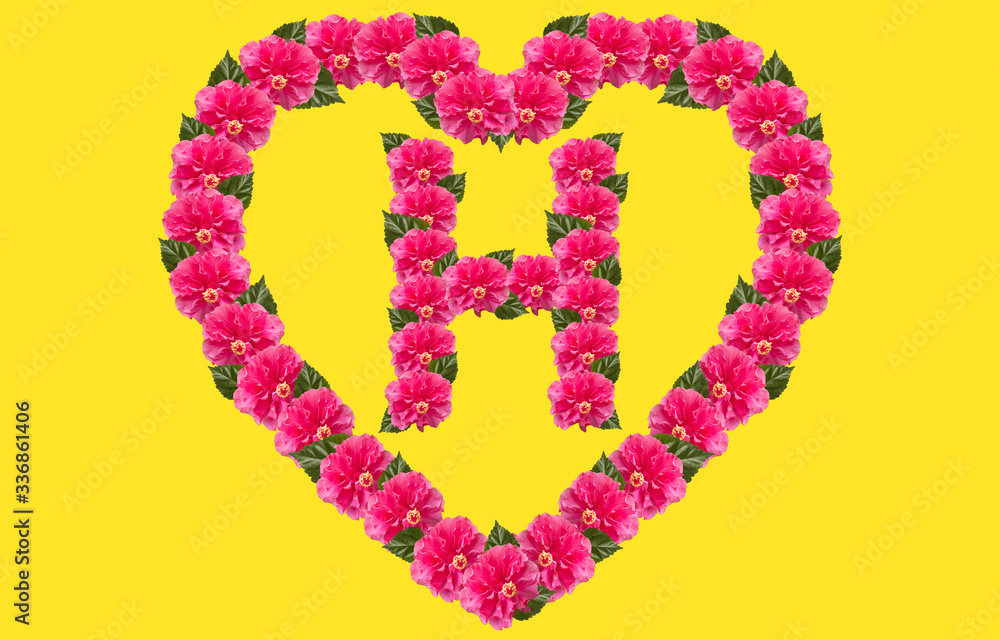 Alphabet H Design using Pink Hibiscus Flower and love shape on isolated Background. China Rose love shape letter.Double headed Pink Hibiscus font