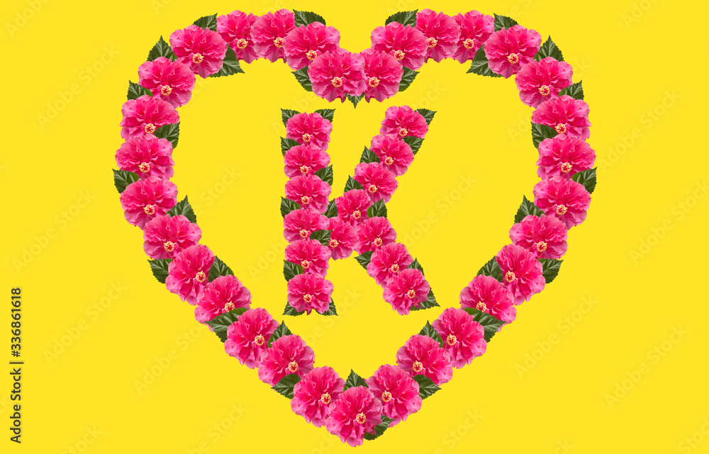 Alphabet K Design using Pink Hibiscus Flower and love shape on isolated Background. China Rose love shape letter.Double headed Pink Hibiscus font