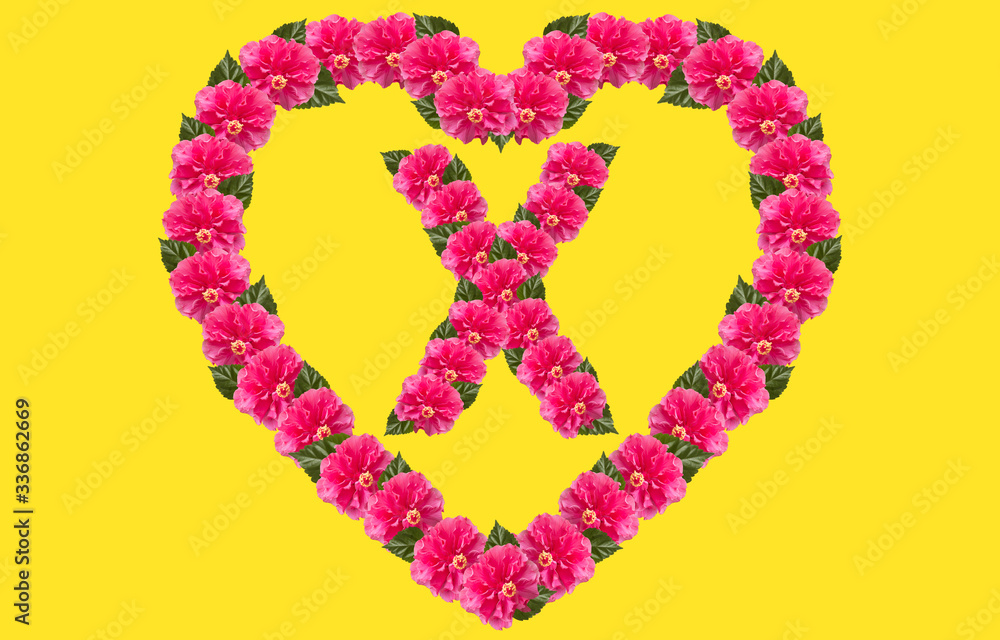 Alphabet X Design using Pink Hibiscus Flower and love shape on isolated Background. China Rose love shape letter.Double headed Pink Hibiscus font Alphabet X Design using Pink Hibiscus Flower and love shape on isolated Background. China Rose love shape letter.Double headed Pink Hibiscus font