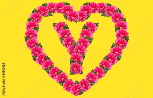 Alphabet Y Design using Pink Hibiscus Flower and love shape on isolated Background. China Rose love shape letter.Double headed Pink Hibiscus font