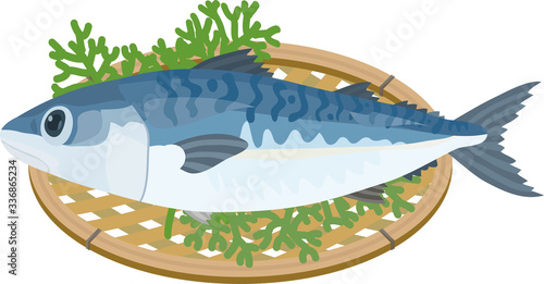 Vector illustration of mackerel on basket.