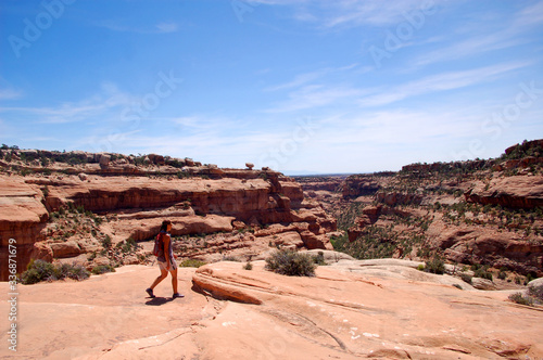 Hiker on rim of fish canyon in canyon country in the Bears Ears wilderness of Southern Utah. 