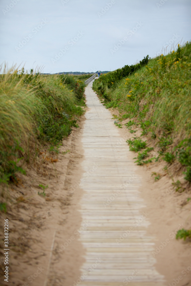 A wooden boardwalk bordered by sandbanks covered in wild grasses leading to the horizon.