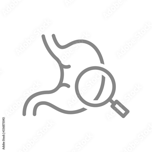 Stomach with magnifying glass line icon. Organ research, disease prevention symbol