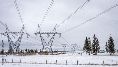 Two Power Lines in Winter with Trees