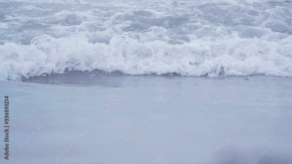 Adorable bird walks near the water. Animal exploring as the waves rush onto shore. Close up, cinematic and beautiful. Adorable bird walks near the water. Animal exploring as the waves rush onto shore. Close up, cinematic and beautiful.