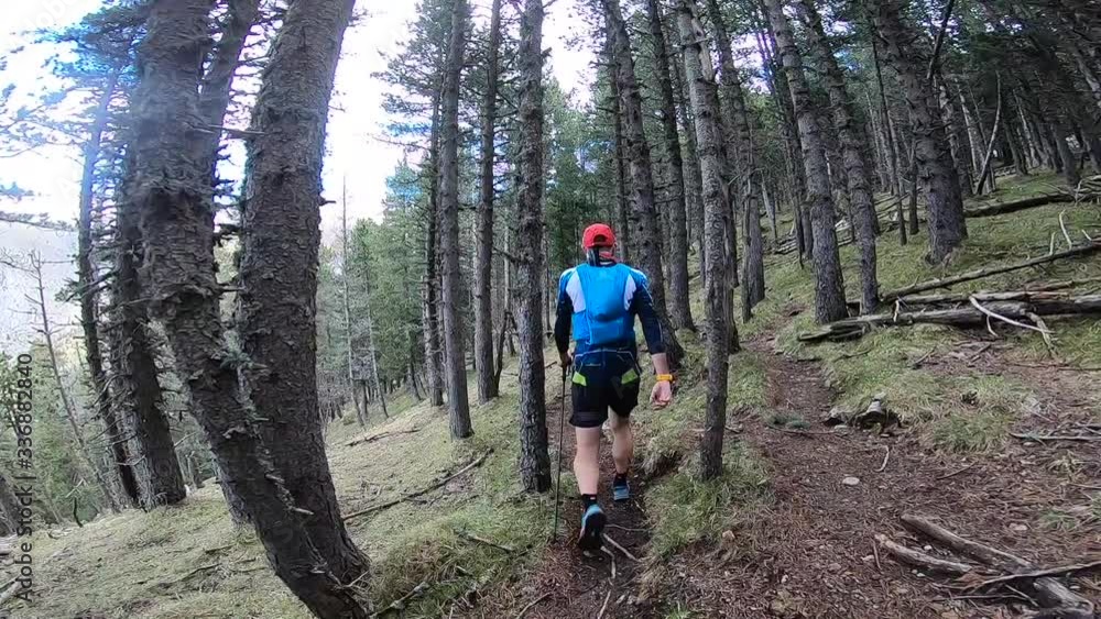 Man hiking in the mountains in a nice forest Man hiking in the mountains in a nice forest