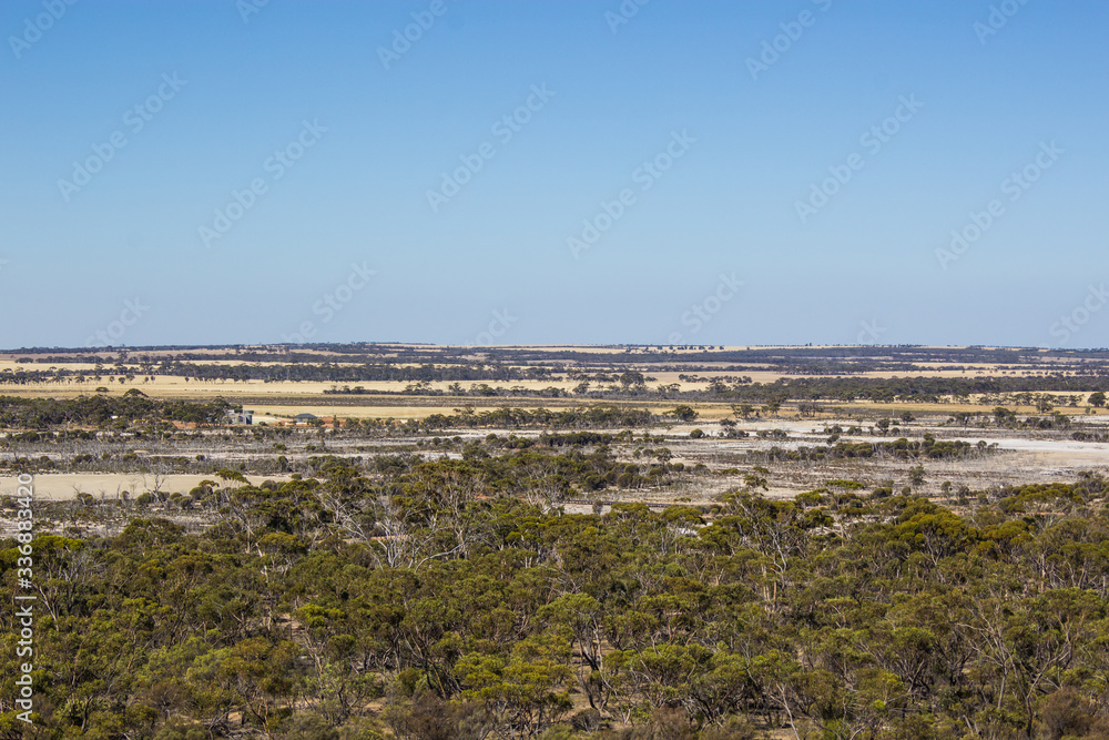 Fototapeta premium Wave Rock, WA, Australia