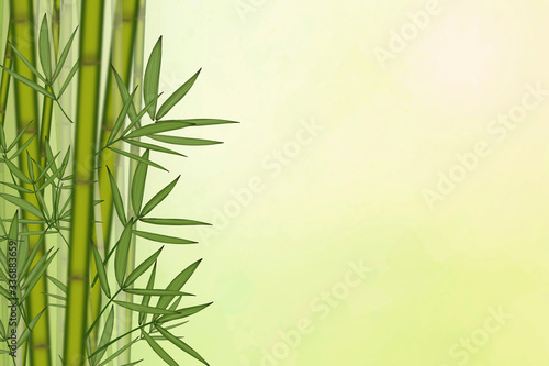 Minimal bamboo background template