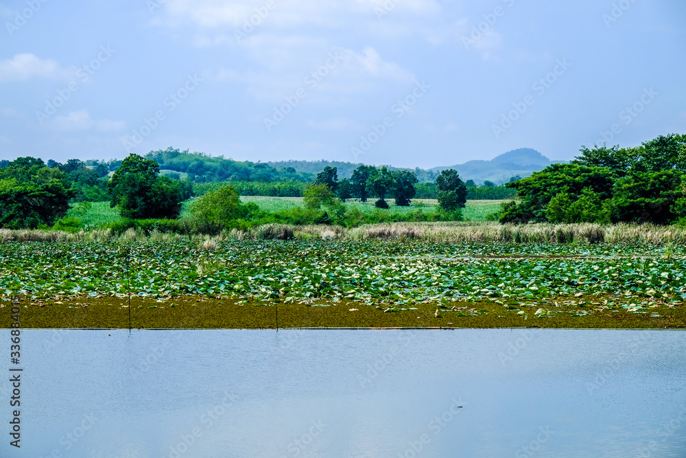 big lake with green field and blue sky