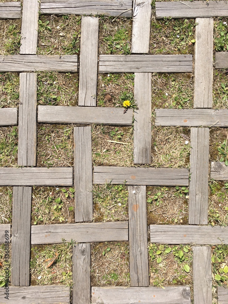 Grass was planted in a beautifully woven frame. Grass was planted in a beautifully woven frame.