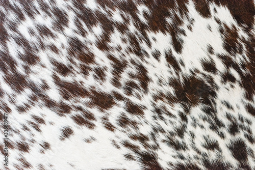 Canvas Print Brown fur background