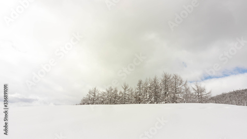 Wallpaper Mural 겨울 Torontodigital.ca