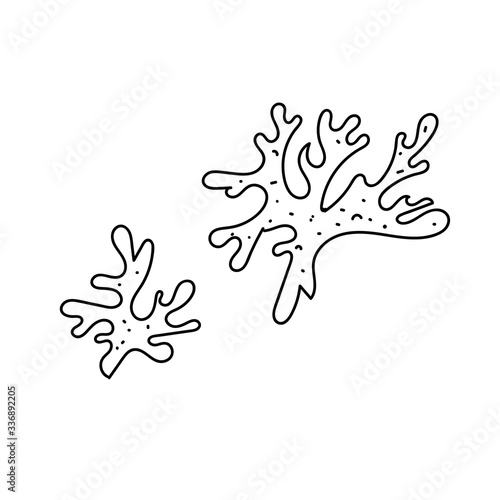 vector element, black and white picture of a marine inhabitant, algae
