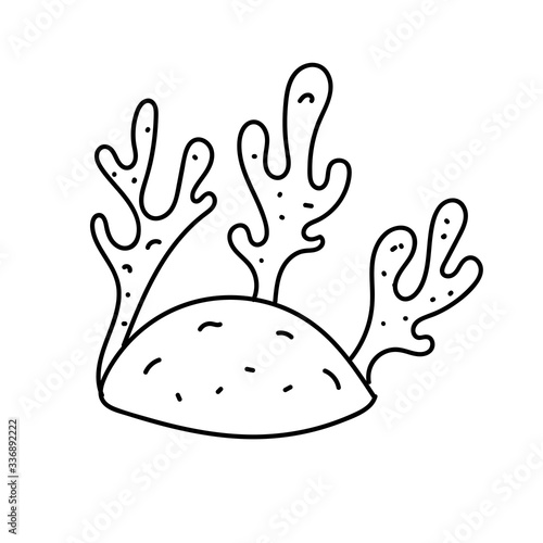 vector element, black and white picture of a marine inhabitant, algae coral