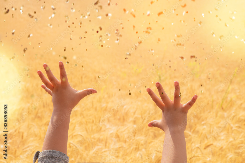 girl raising her hands in the wheat field during the sunset