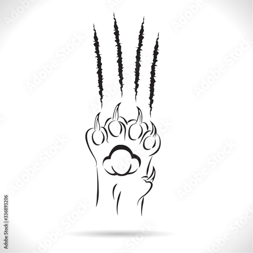 vector, trace of cat claws of a predator.