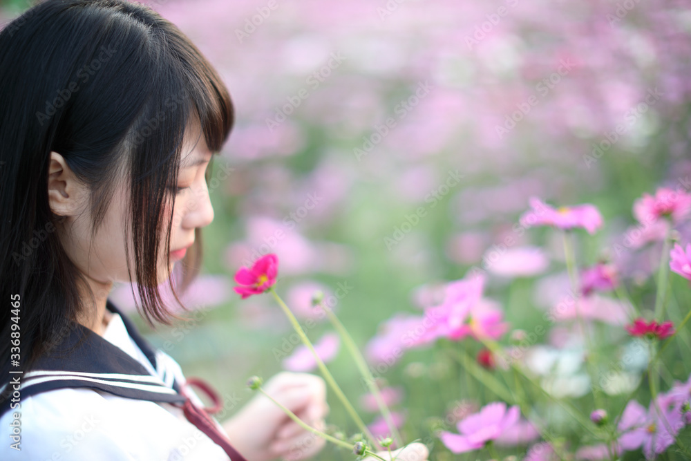 Portrait of Japanese school girl uniform with pink cosmos flower Portrait of Japanese school girl uniform with pink cosmos flower