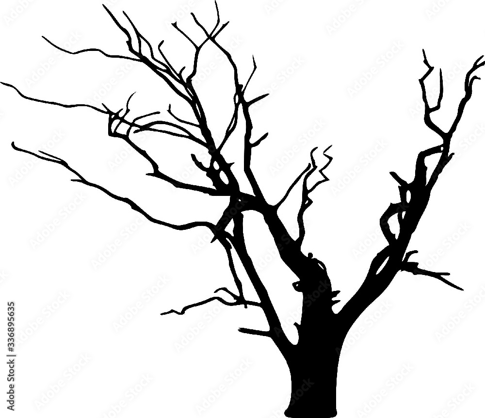 Obraz premium Bare Tree Silhouette