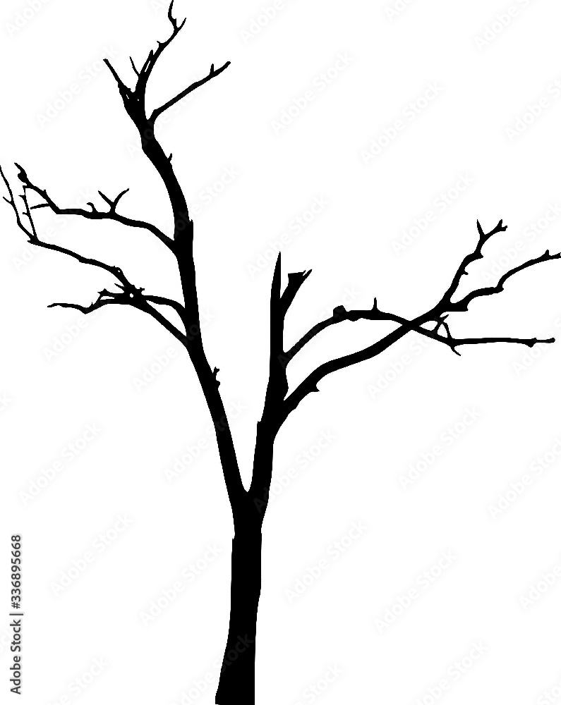 Bare Tree Silhouette