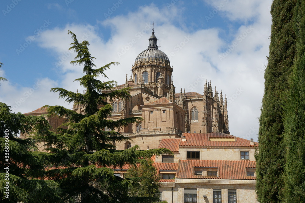 View of Cathedral Nueva Salamanca Spain  