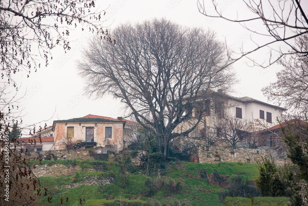 Houses in Millies village. Magnesia, Pelion mountain, Greece
