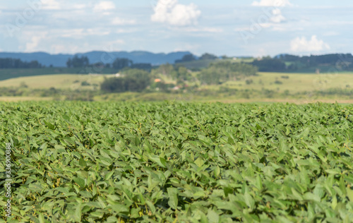 Rural landscape and cumulonimbus cloud in soybean production area