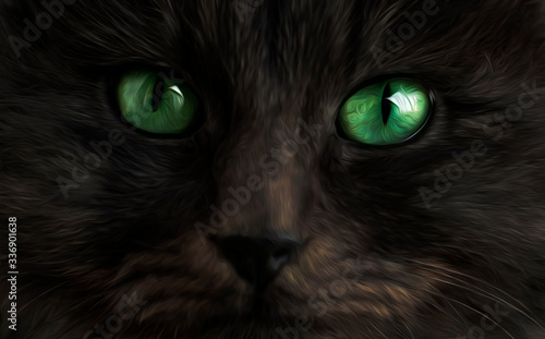  black and fluffy cat with green eyes close up