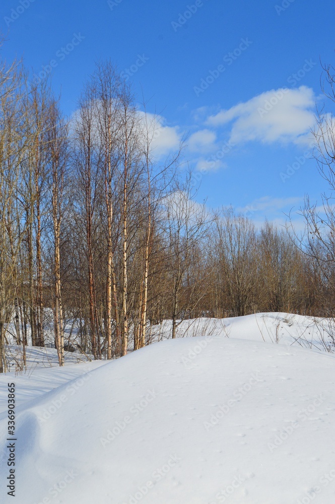 winter landscape with trees and snow winter landscape with trees and snow