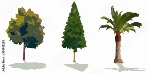 illustration of a different trees set    vector draw