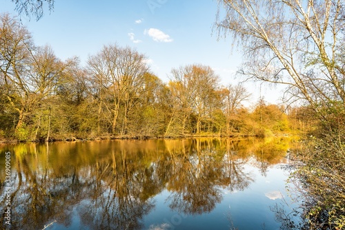 Fototapeta Naklejka Na Ścianę i Meble -  wunderschöne Spiegelung von Bäumen in einem See im Frühling