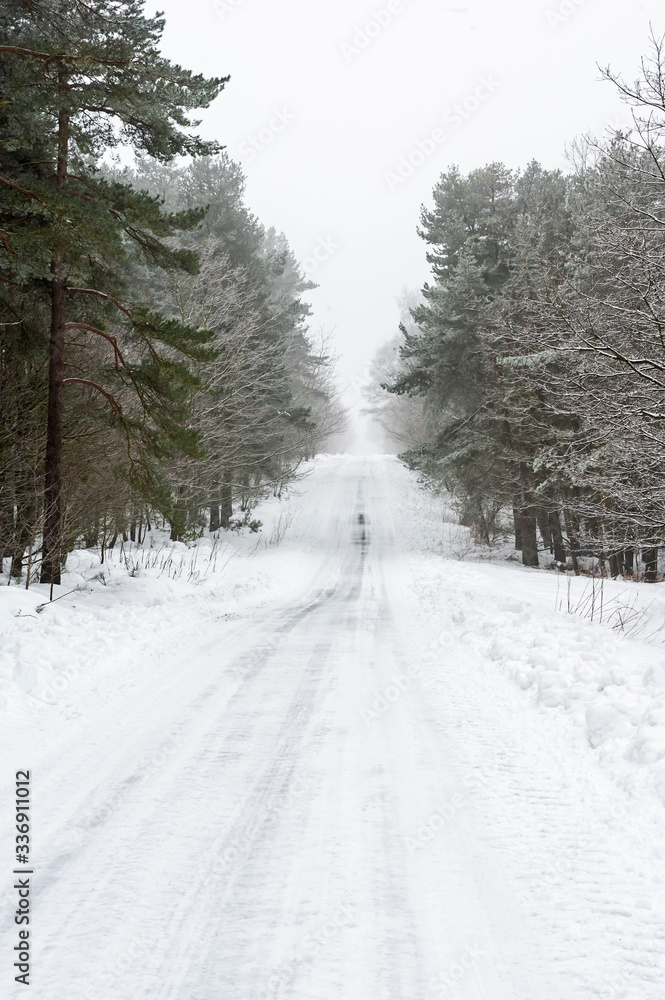 Remote snowy road through trees on country lane Remote snowy road through trees on country lane