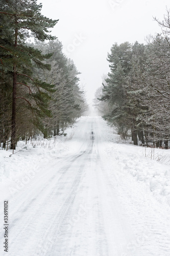 Remote snowy road through trees on country lane