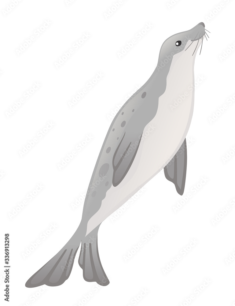 Cute seal cartoon animal design flat vector illustration isolated on white background Cute seal cartoon animal design flat vector illustration isolated on white background