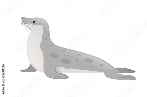 Cute seal cartoon animal design flat vector illustration isolated on white background