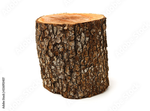 log isolated on a white background