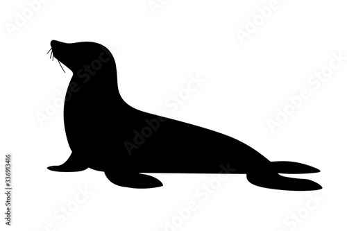 Black silhouette cute seal cartoon animal design flat vector illustration isolated on white background