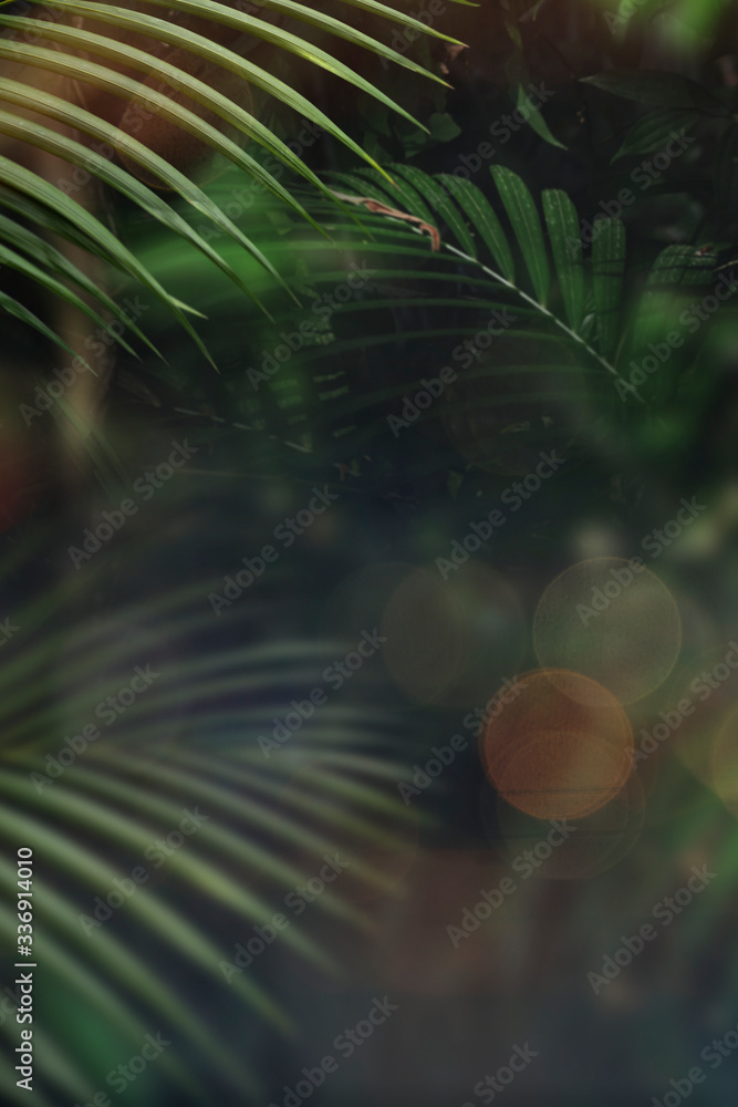 Tropical Leaves Stock Photo Adobe Stock Tropical Leaves Stock Photo Adobe Stock
