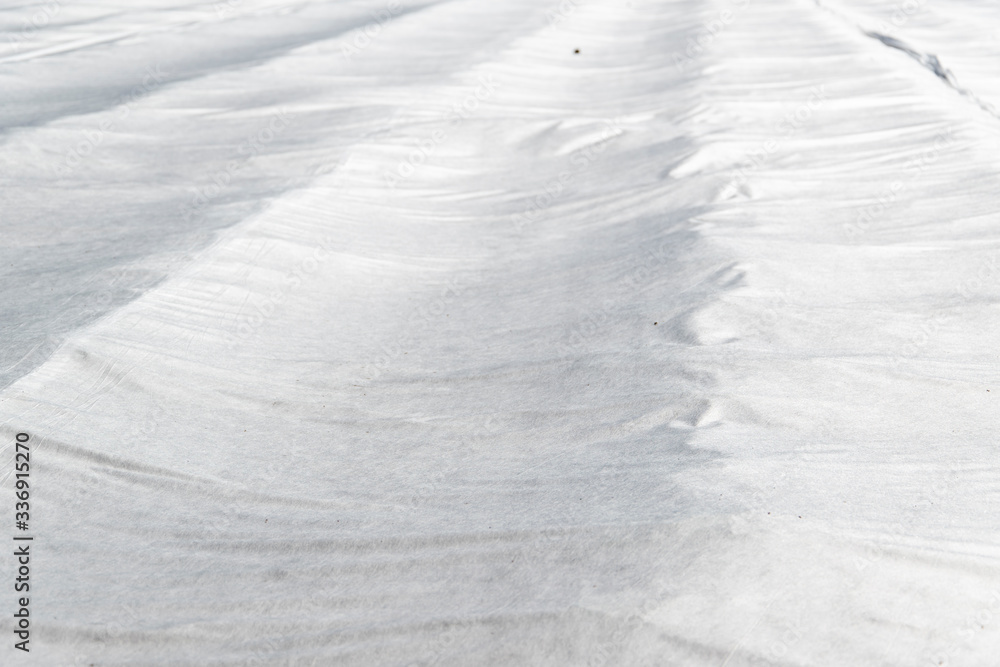 Naklejka premium Über einem Feld liegt eine Plane ausgebreitet und schützt die darunter wachsenden Pflanzen wie zum Beispiel Spargel oder Erdbeeren.
