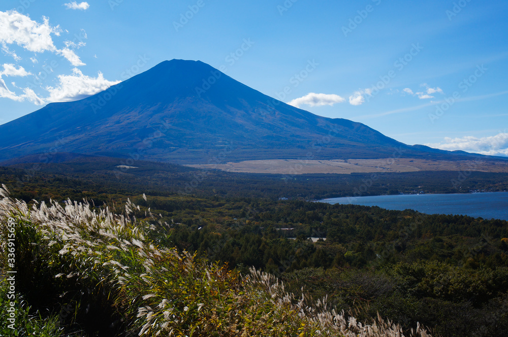 Fototapeta premium 山中湖と富士山