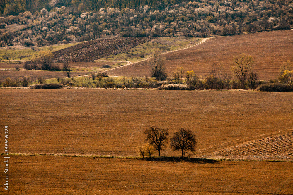 Fototapeta premium A view of the country agricultural field on a sunny summer day.Soil, cultivated dirt, earth, ground, brown land background. Spring in Moldova. Plowed agricultural field under nice sky.
