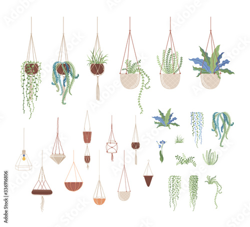 Domestic plants and hanging pots flat vector illustrations set