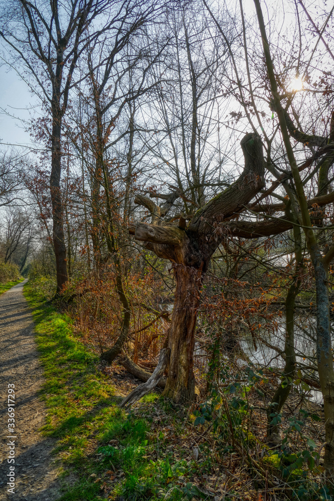 Fototapeta premium Wanderweg am Ruhrufer zwischen Essen Horst und Dahlhausen